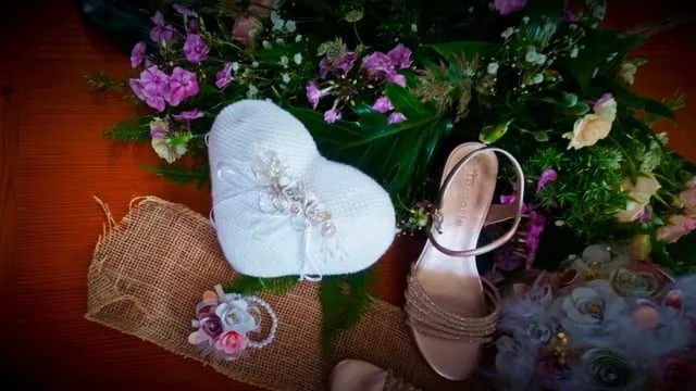 Teaser du mariage Marie et Jeremy